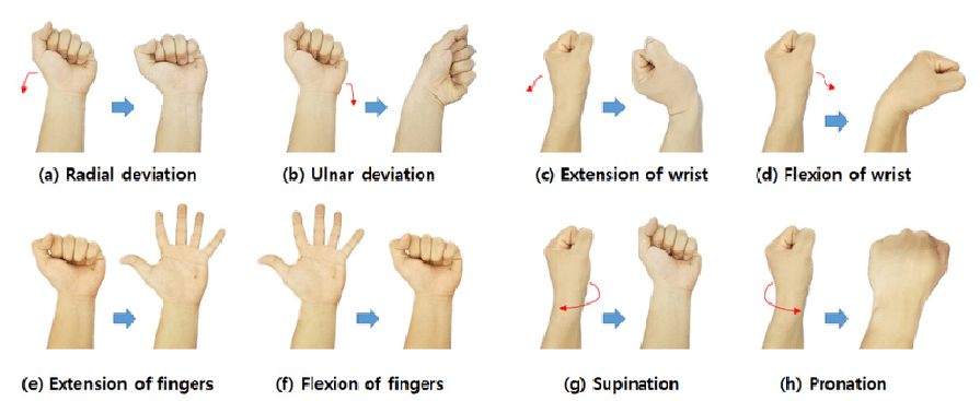 A figure demonstrating the motion of wrists based on the three gestures of the activity, roll, pitch, and yaw. 